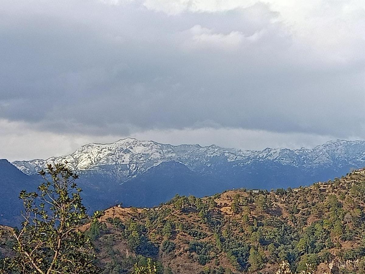 Shiva Valley Resort Kokhliyal Gaon Exteriér fotografie