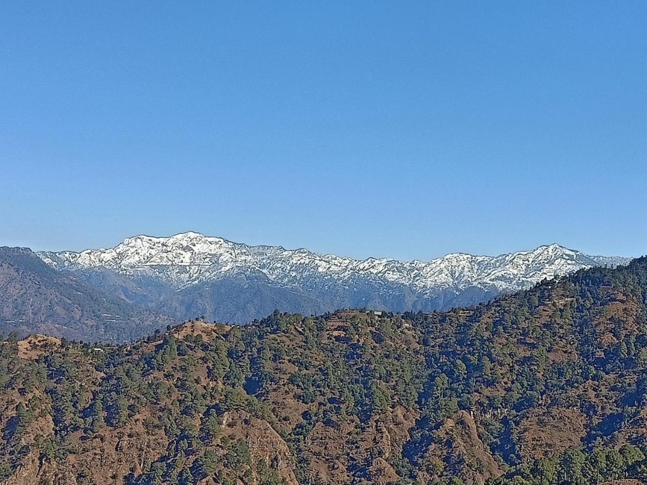 Shiva Valley Resort Kokhliyal Gaon Exteriér fotografie